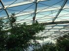250-DSC05778.JPG.small.jpeg