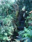 252-DSC05782.JPG.small.jpeg