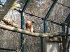 263-DSC05794.JPG.small.jpeg