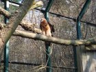 264-DSC05795.JPG.small.jpeg