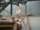 266-DSC05798.JPG.small.jpeg