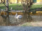 272-DSC05804.JPG.small.jpeg