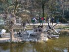 273-DSC05805.JPG.small.jpeg