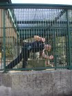 275-DSC05808.JPG.small.jpeg