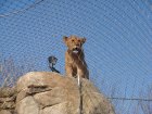 276-DSC05809.JPG.small.jpeg