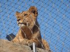 277-DSC05810.JPG.small.jpeg