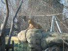 278-DSC05811.JPG.small.jpeg