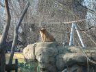 279-DSC05812.JPG.small.jpeg