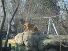 280-DSC05813.JPG.small.jpeg