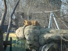 281-DSC05814.JPG.small.jpeg