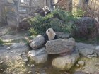 284-DSC05817.JPG.small.jpeg