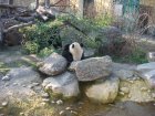 285-DSC05818.JPG.small.jpeg