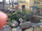 286-DSC05819.JPG.small.jpeg