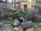 287-DSC05820.JPG.small.jpeg