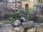 288-DSC05821.JPG.small.jpeg