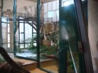 289-DSC05822.JPG.small.jpeg
