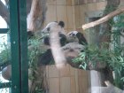 290-DSC05824.JPG.small.jpeg