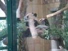 291-DSC05825.JPG.small.jpeg