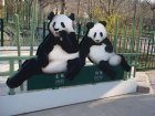293-DSC05828.JPG.small.jpeg