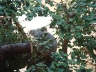 297-DSC05833.JPG.small.jpeg