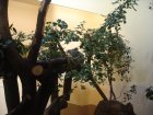 298-DSC05834.JPG.small.jpeg