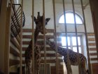 299-DSC05835.JPG.small.jpeg