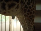 303-DSC05842.JPG.small.jpeg