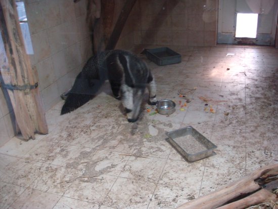 304-DSC05843.JPG.medium.jpeg