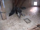 304-DSC05843.JPG.small.jpeg