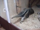 305-DSC05844.JPG.small.jpeg