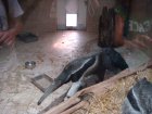 306-DSC05845.JPG.small.jpeg