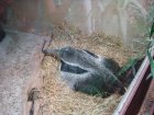 307-DSC05846.JPG.small.jpeg