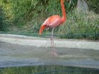 312-DSC05851.JPG.small.jpeg