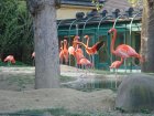 313-DSC05853.JPG.small.jpeg