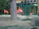 314-DSC05854.JPG.small.jpeg