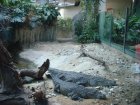 317-DSC05857.JPG.small.jpeg