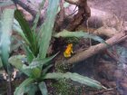 320-DSC05860.JPG.small.jpeg