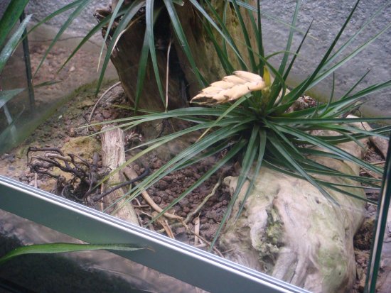 321-DSC05861.JPG.medium.jpeg