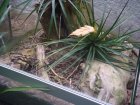 321-DSC05861.JPG.small.jpeg