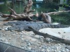 325-DSC05865.JPG.small.jpeg