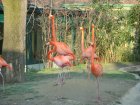 326-DSC05869.JPG.small.jpeg