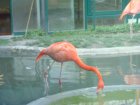 327-DSC05870.JPG.small.jpeg