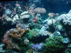328-DSC05871.JPG.small.jpeg