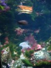 332-DSC05879.JPG.small.jpeg