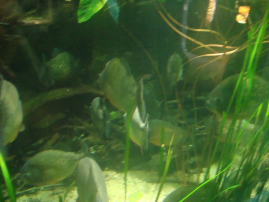 338-DSC05888.JPG.medium.jpeg