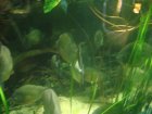 338-DSC05888.JPG.small.jpeg