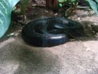 339-DSC05891.JPG.small.jpeg