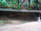 343-DSC05896.JPG.small.jpeg