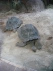 344-DSC05897.JPG.small.jpeg