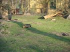 347-DSC05900.JPG.small.jpeg